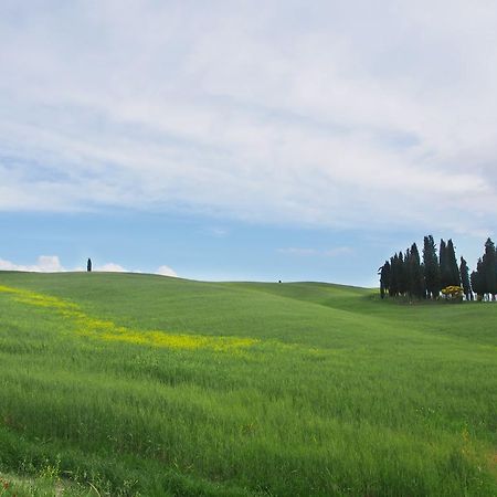 Agriturismo Santa Maria トッリータ・ディ・シエーナ エクステリア 写真