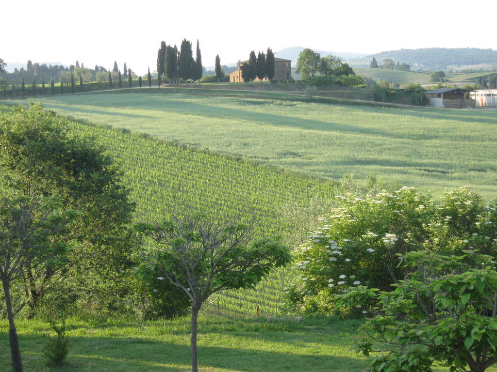 Agriturismo Santa Maria トッリータ・ディ・シエーナ エクステリア 写真
