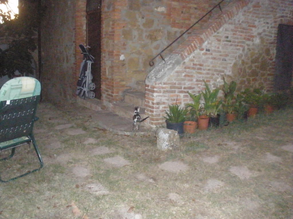 Agriturismo Santa Maria トッリータ・ディ・シエーナ エクステリア 写真