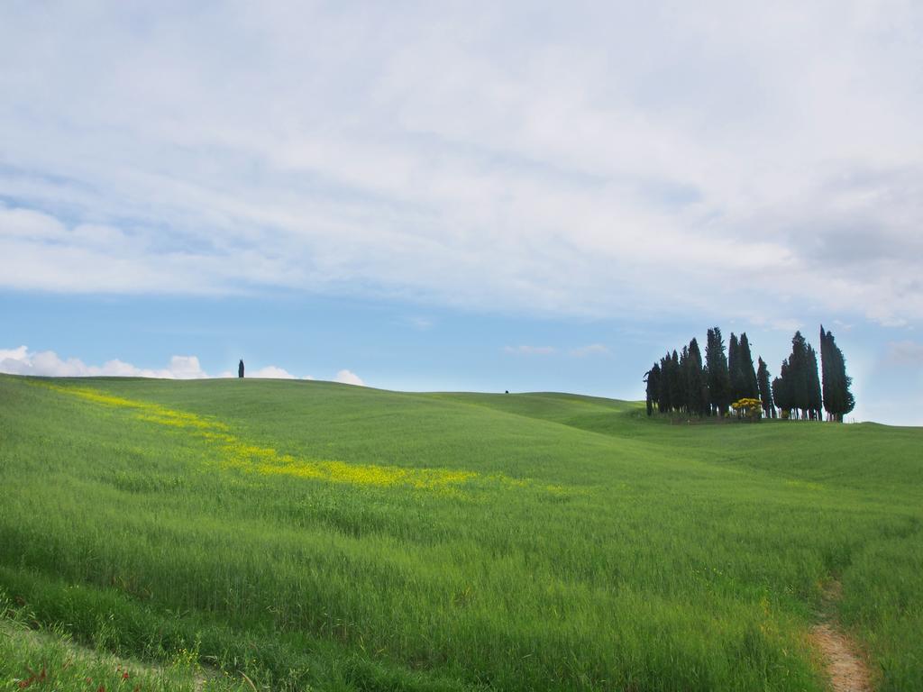 Agriturismo Santa Maria トッリータ・ディ・シエーナ エクステリア 写真