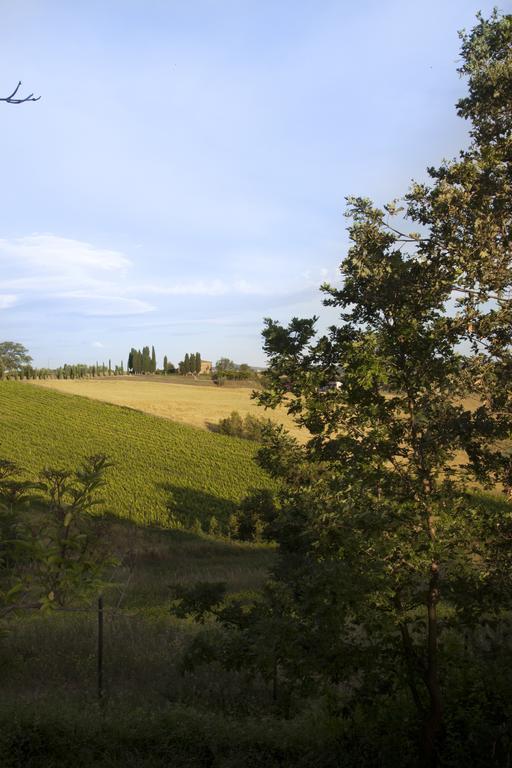 Agriturismo Santa Maria トッリータ・ディ・シエーナ エクステリア 写真