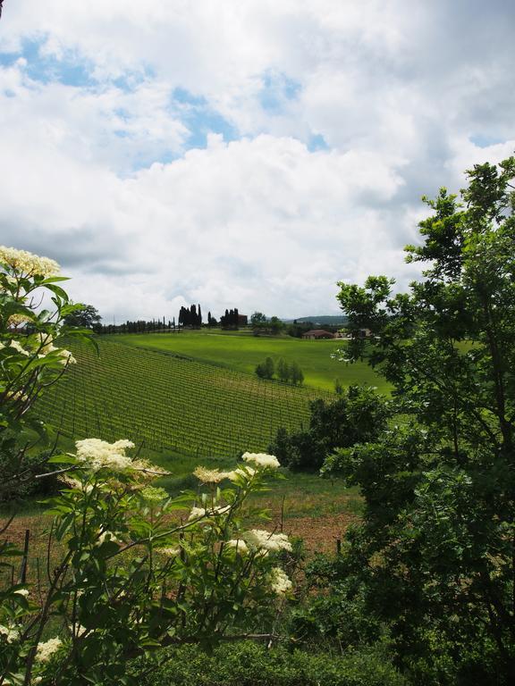 Agriturismo Santa Maria トッリータ・ディ・シエーナ エクステリア 写真