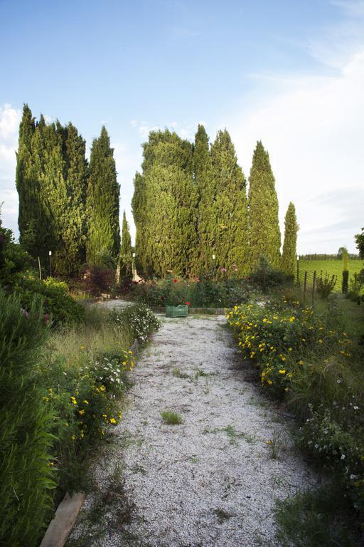 Agriturismo Santa Maria トッリータ・ディ・シエーナ エクステリア 写真